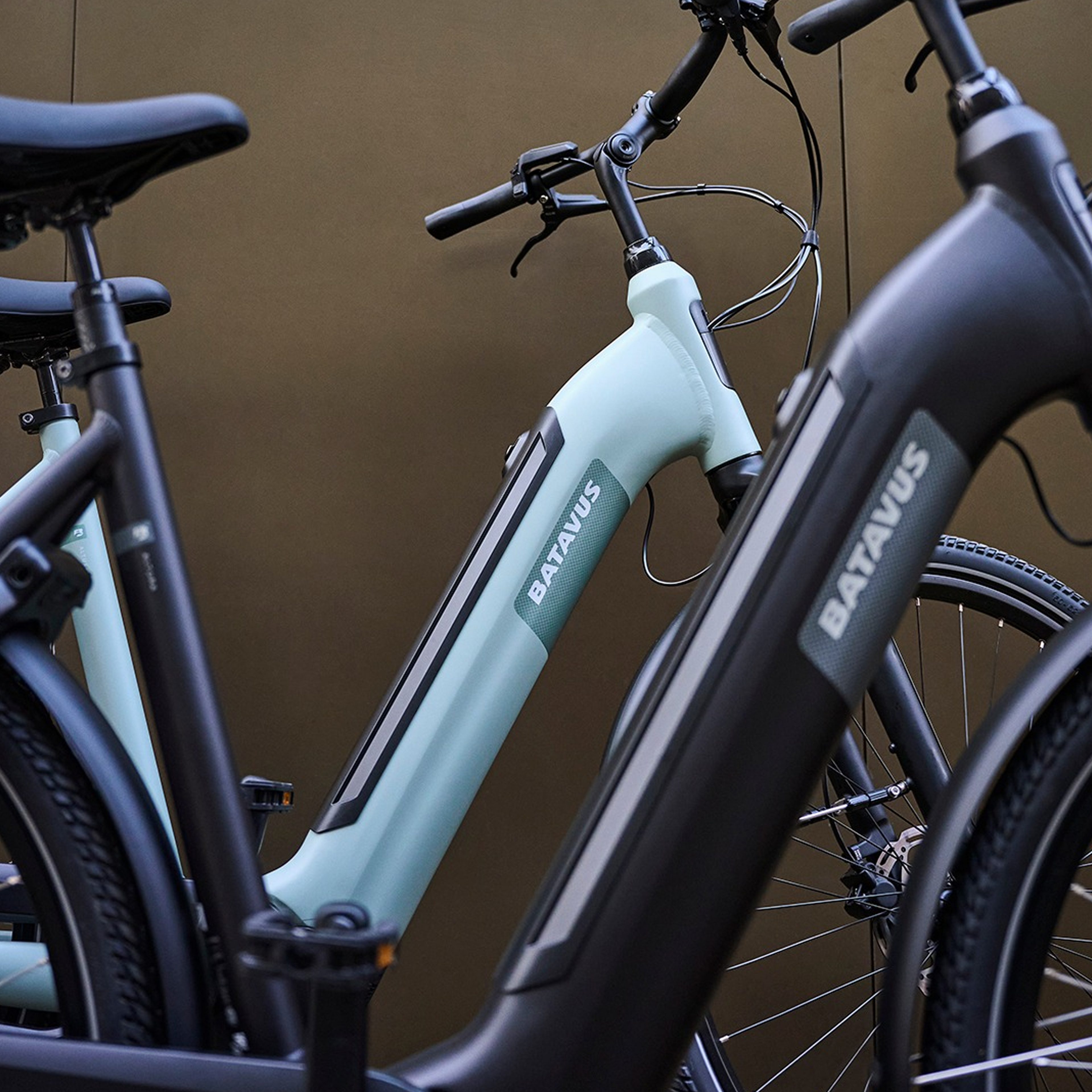 Batavus
